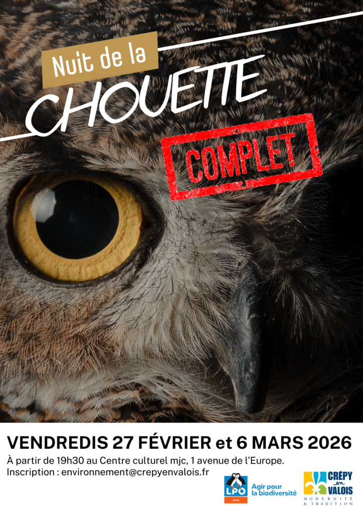 Nuit de la chouette [COMPLET] - Crépy-en-Valois